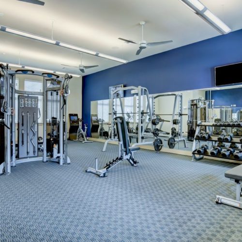 Fitness center with cardio machines and strength training equipment