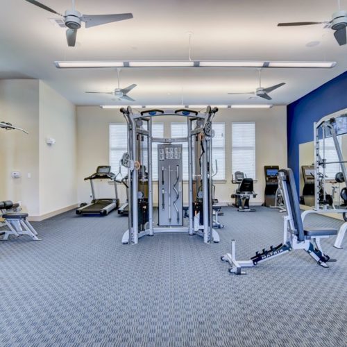 Fitness center with cardio machines and strength training equipment